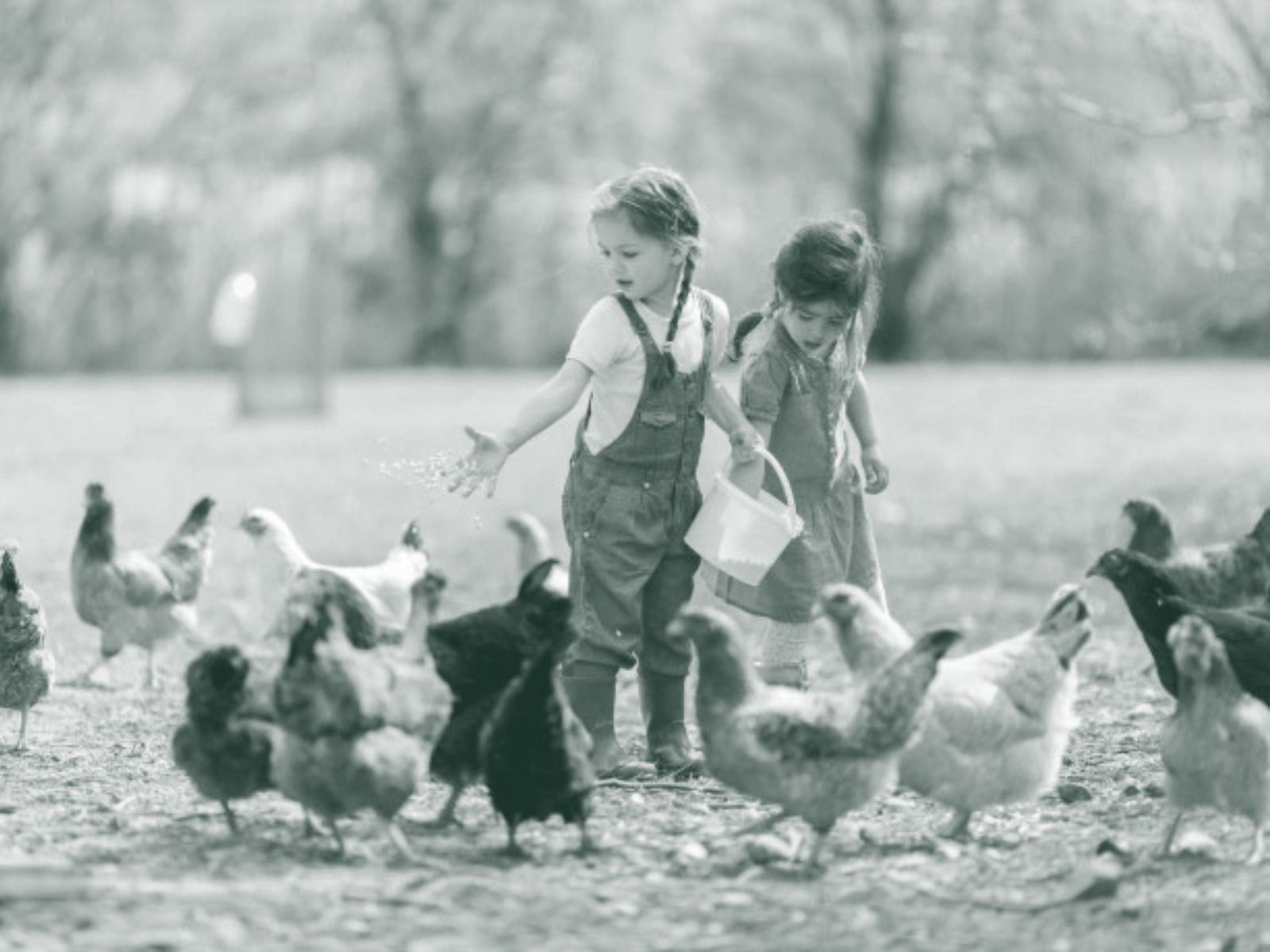 Jardin pédagogique de la Ferme du Petit Poucet